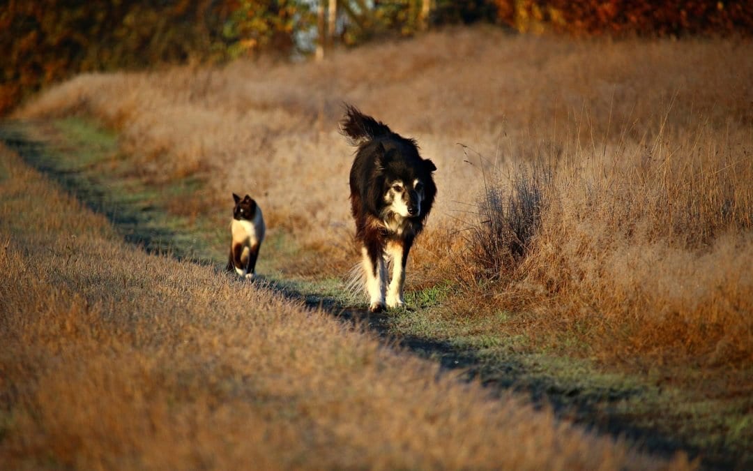 Konfliktstile erkennen – Wie reagierst du in einem Konflikt?