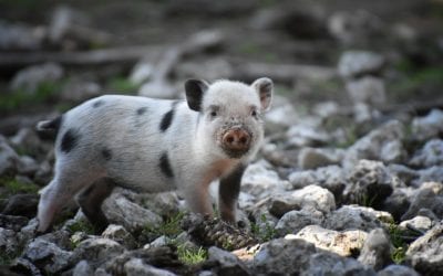 Bleibe neugierig – Deine Entscheidung für deine Entwicklung