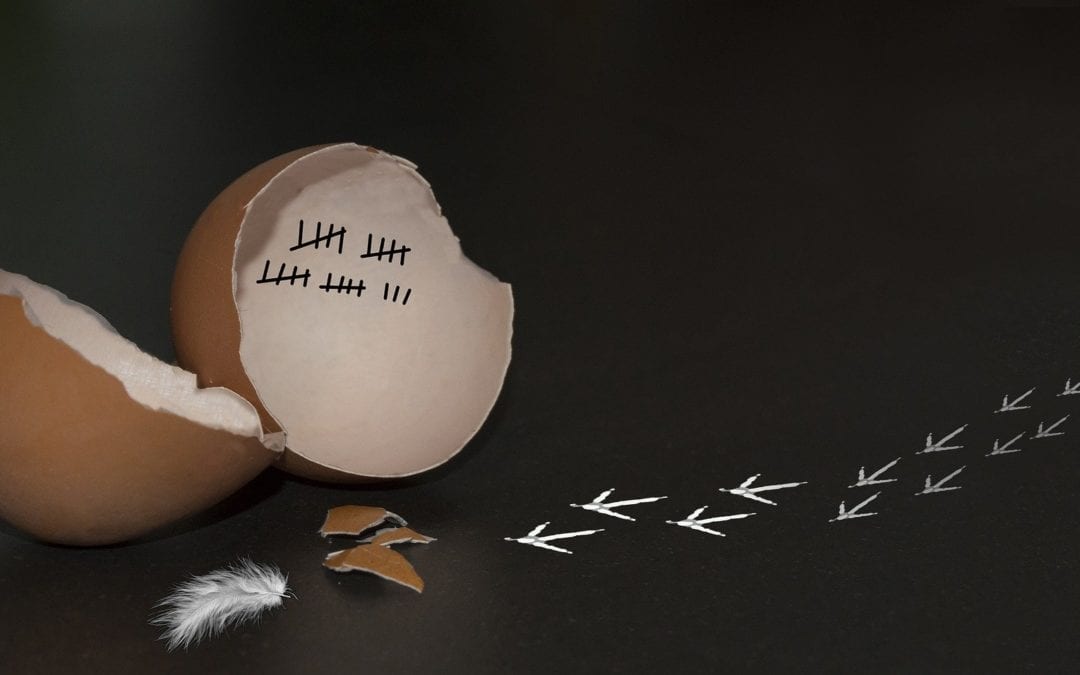 Herausforderungen meistern – Durchhaltevermögen stärkt Vertrauen