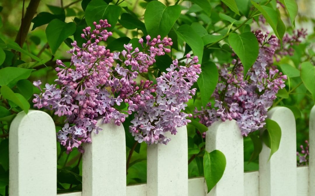 Die Magie der Hürde – Erkenne und genieße deine Lebendigkeit