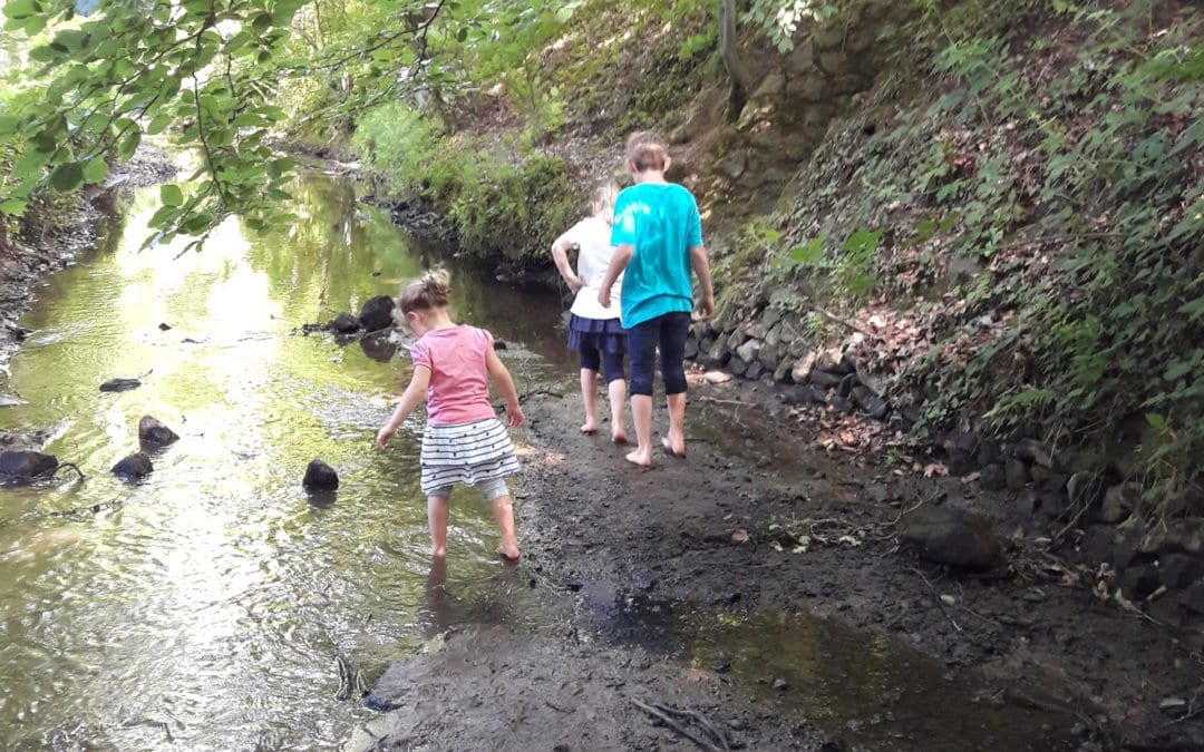 Sich wohlfühlen – Welchen Gesprächsfluss wählst du?