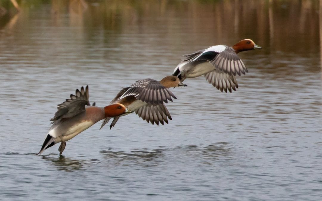 Sei bereit – Entscheidungen treffen und neue Orientierung finden