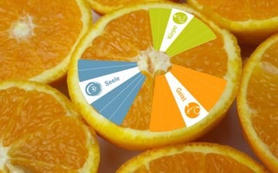 Wunder geschehen – Gebe dich vertrauensvoll dem Optimismus hin