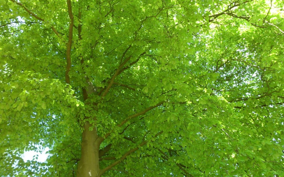 Reiseziel: Lebendigkeit