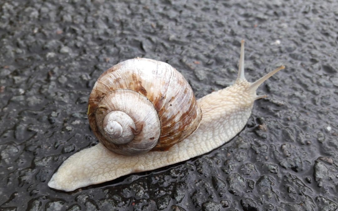 Wahrhafte Karriere – Welche Möglichkeitsräume wählst du?