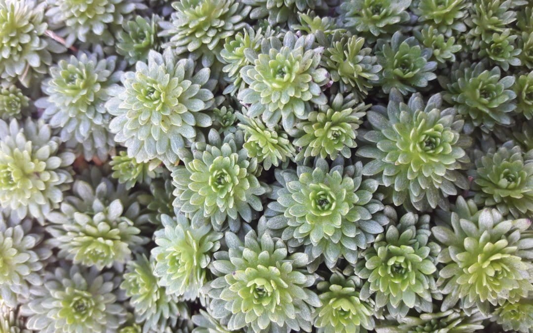 Zufriedene Zusammenarbeit – Vom selbstbewussten ICH zum kraftvollen WIR