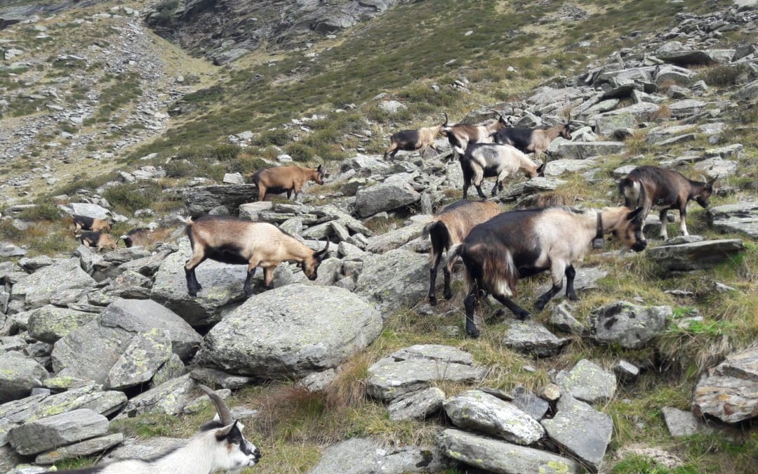 Arbeit und Gesundheit – Welche Bedingungen sind für dich stimmig?