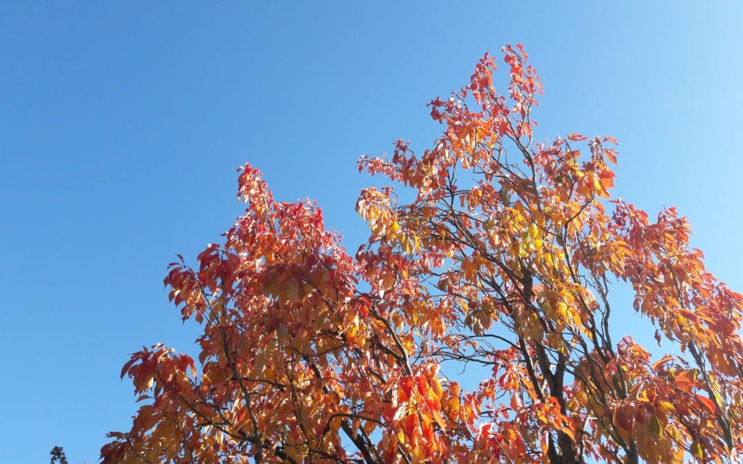 Möglichkeiten ermöglichen – Welchen Raum möchtest du gerne öffnen?