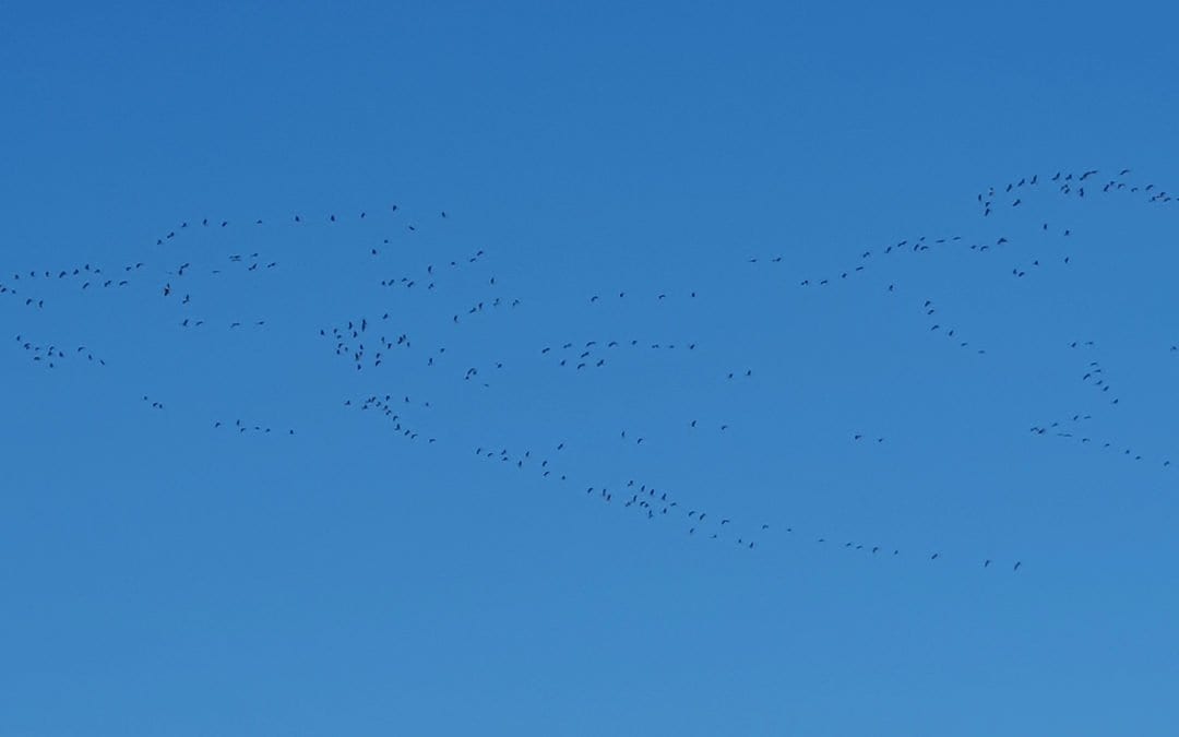 In Beziehung gehen – Verbindliches Engagement stärkt die Ganzheit