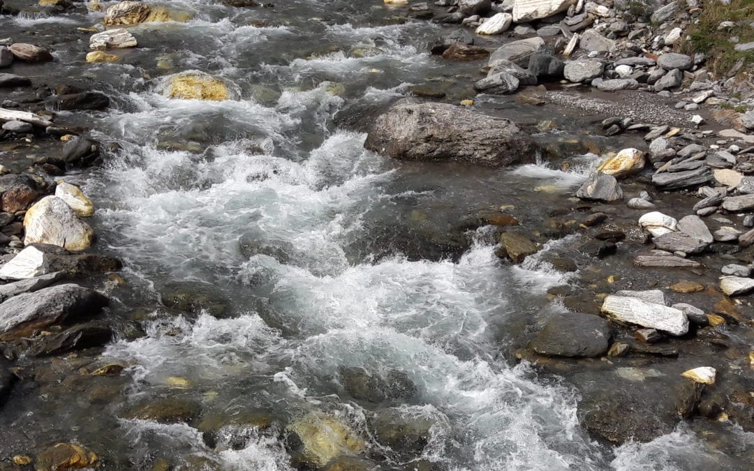 Im Wandel – Warum Bewegung nicht immer etwas mit Auspowern zu tun hat