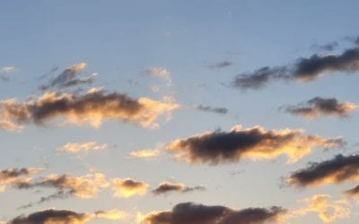 Sorgfältige Betrachtung – Beobachtung oder Bewertung im Konflikt